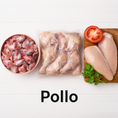 Pollo