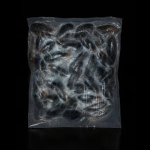 Mejillones Negros