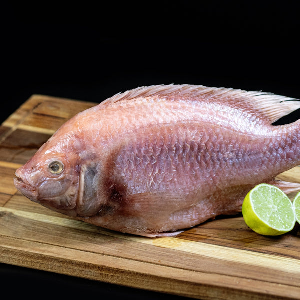 Mojarra Glaseada