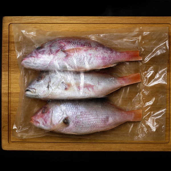 Pargo Rojo